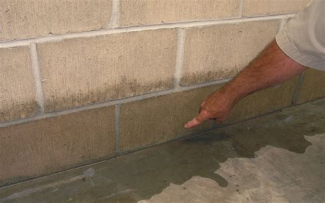 How To Treat A Damp Basement Wall at Elizabeth McHone blog