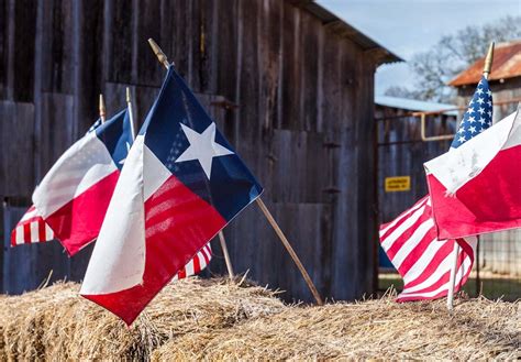 Voting Day 2024 Texas - Nell Jaquelin