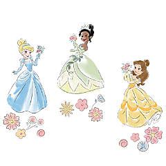 Save on Fairytale & Storybook, Princess & The Frog, Wall Decor ...