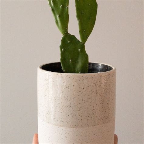 4 Inch White Ceramic Planter - Etsy