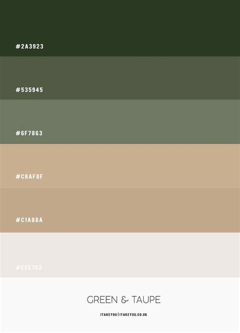 Olive Green Living Room | Green color pallete, Beige color palette, House color palettes
