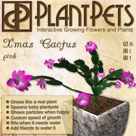 Second Life Marketplace - PlantPet Seed [Xmas Cactus *Pink*]