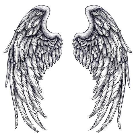 Premium Photo | A pair of angel wings with long thin wings