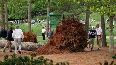 Trees Fall Near Spectators at Augusta National, Masters Suspended – NBC ...