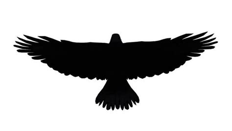 Eagle Vector 2 | Silhouette tattoos, Chest piece tattoos, Small eagle ...