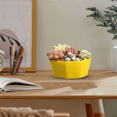 pots for succulent with drainage indoor drainageflower large diameter ...
