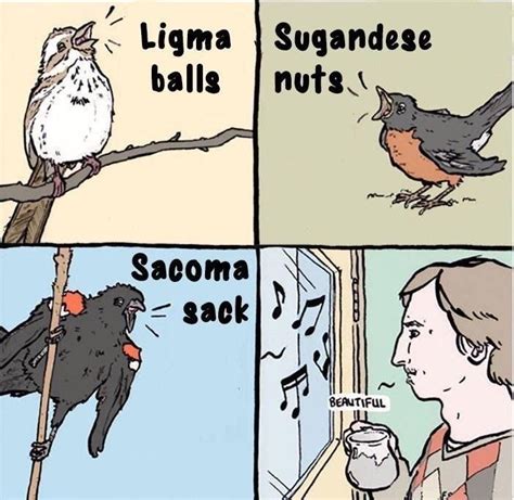 Ligma balls / Sugandese nuts / Sacoma sack / beautiful | Ligma | Funny animal comics, Funny ...