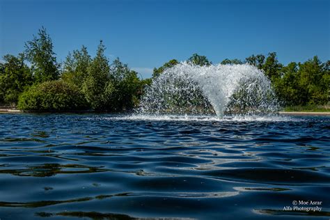 A walk in the park.... | Duck Pond-Assiniboine Park Winnipeg… | Flickr