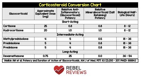 steroid dose conversion chart - Tart.tscoreks.org