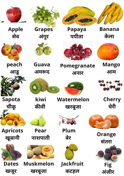 20 fruits name in Hindi & English : फलों के नाम हिंदी और अंग्रेजी में