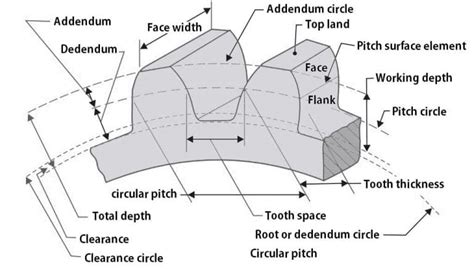 Spur Gear: Definition, Types, Terminology, Advantages, Disadvantages ...