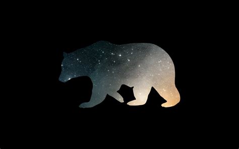 Cool Bear Wallpapers - Wallpaper Cave