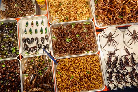 Eating Insects in Bangkok and Where to Find Them - Bangkok Unusual Delicacies - Go Guides