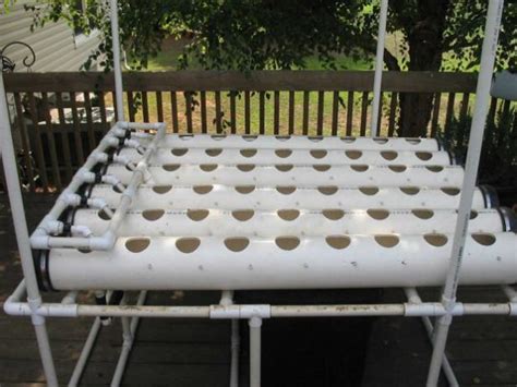 How to Start Hydroponic Gardening As A Beginner ~ Bees and Roses