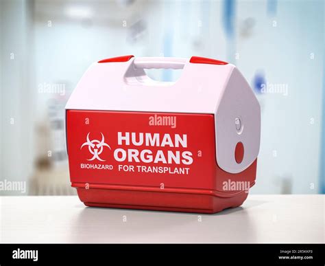Human organ box hi-res stock photography and images - Alamy