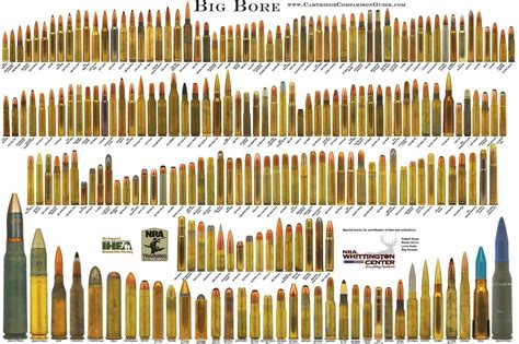 Big Bore Rifle Cartridge Chart Wall Poster Multiple Sizes 11x17-24x36 | eBay