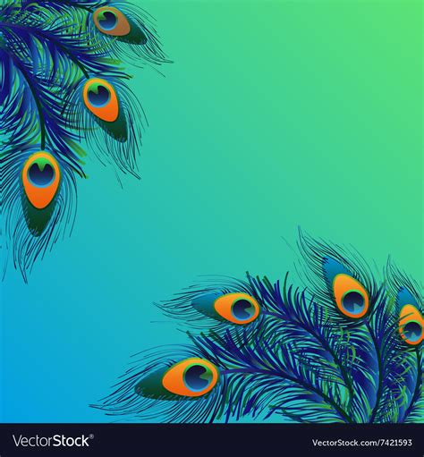 Background design with peacock feathers Royalty Free Vector