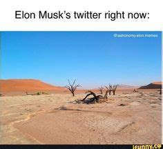 Elon Musk’s twitter right now: – popular memes on the site iFunny.co #elonmusk #celebrities # ...