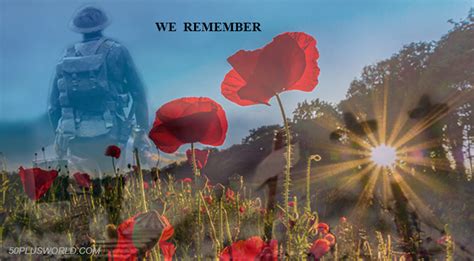 Remembrance and Veterans Day – In Flanders Fields | 50+ World - 50+ World