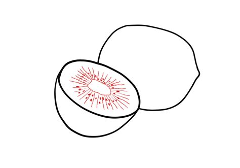 How to Draw a Kiwi Fruit | Design School