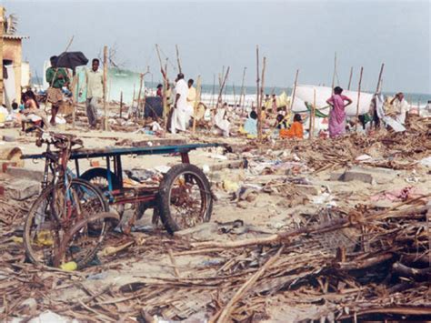 A decade after tsunami tragedy, orphaned children move on - Oneindia News