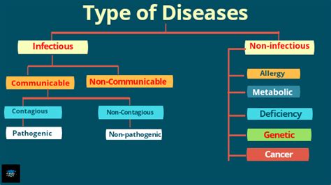 Human Diseases Chart