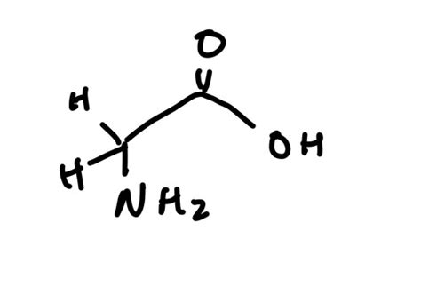 MCAT Amino Acids Flashcards | Quizlet