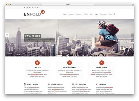 30 Best Examples Of Websites Using Enfold Theme 2024 - Colorlib