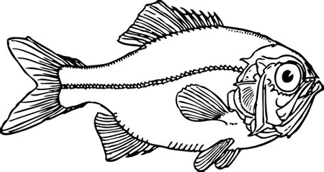 Ugly Fish clip art Free vector in Open office drawing svg ( .svg ) vector illustration graphic ...