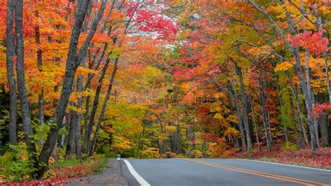 Tunnel of Trees in Autumn Time Along Scenic Byway M41 in Michigan Upper ...