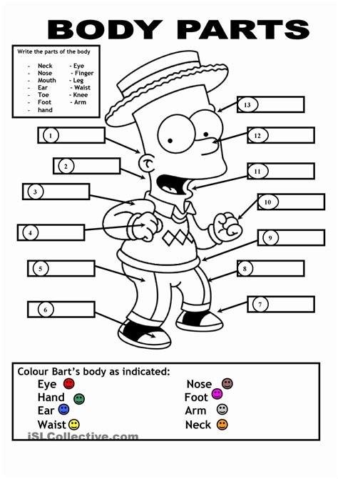 50 Body Parts In Spanish Worksheet