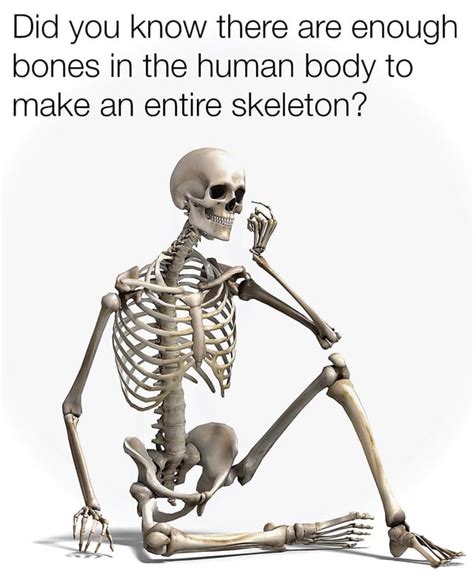 an entire skeleton : r/memes