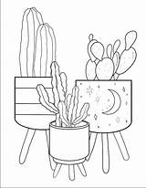 Cactus Coloring Page Pdf  5 Waldo Harvey sketch template
