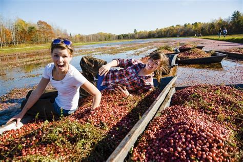 10 Fantastic Fall Activities in Ontario