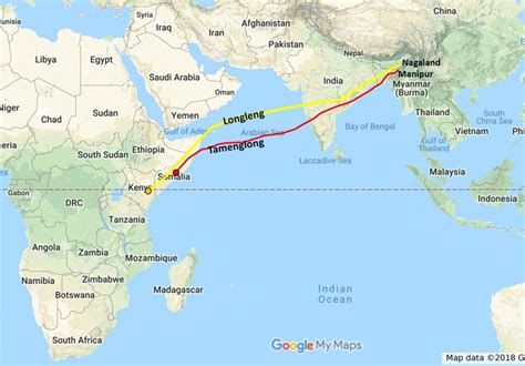 Manipur: Satellite-tagged Amur falcon ‘Tamenglong' reaches Somalia