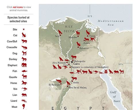 Salima Ikram | Animal Mummies | Animaux, Égypte