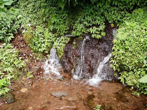 Gambar Panduan Berwuduk Air Mutlak Sungai Gambar Jenis di Rebanas - Rebanas