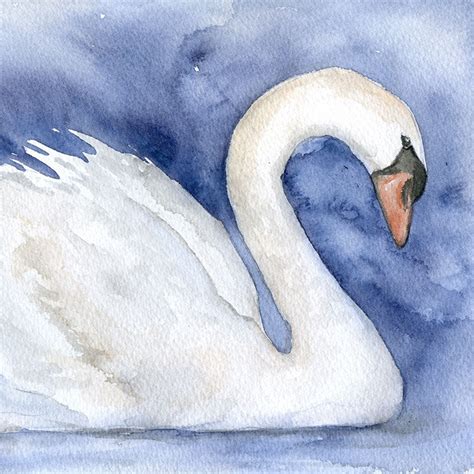 Swan Original Watercolor Painting – Susan Windsor