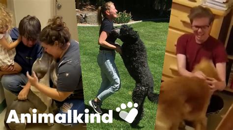 Watch these dogs do a happy dance when they see their owners again