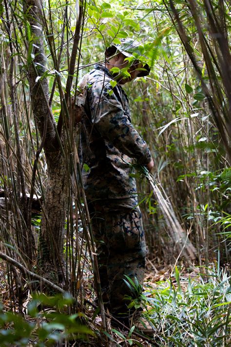 DVIDS - Images - Jungle Survival Course [Image 13 of 14]