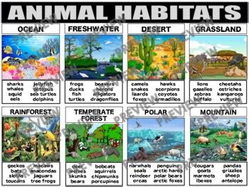 Animal Habitats