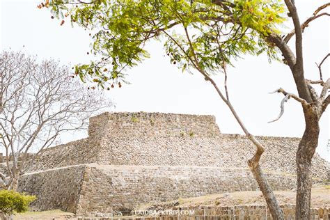 A Complete Guide to Monte Alban Ruins in Oaxaca — LAIDBACK TRIP