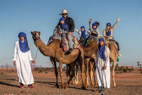 Desert, Palm Grove Camel Ride from Marrakech with Tea, Snack (Mar 2024)