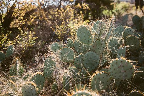 Wichita Mountains Wildlife Refuge Love Shoot | Andrew & Susan