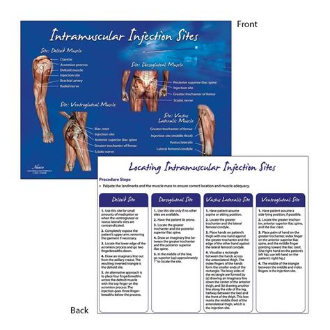 Nasco Healthcare - Intramuscular Injection Sites TearPad