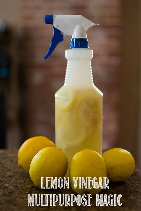 Natural Lemon Disinfectant Multipurpose Cleaner and….Flea deterrent ...