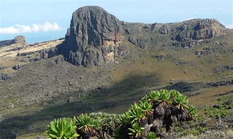 Mount Elgon National Park | Uganda Safaris Tours | Uganda