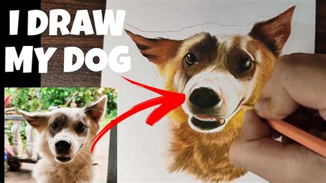 Drawing Max (My pet dog) | ANKF - YouTube