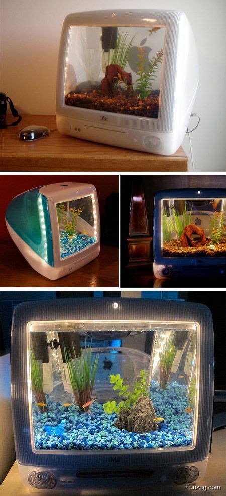 Top 10 Coolest Aquariums | Cool fish tanks, Cool fish, Fish tank design