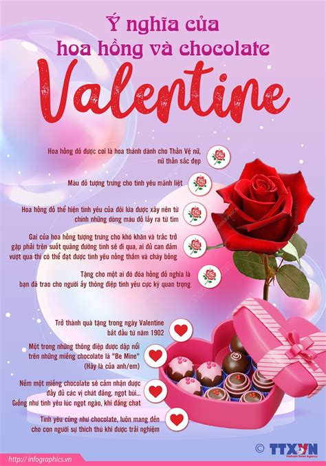 Ý nghĩa của hoa hồng và chocolate Ngày Valentine | baotintuc.vn